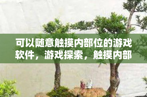 可以随意触摸内部位的游戏软件，游戏探索，触摸内部位的新奇体验