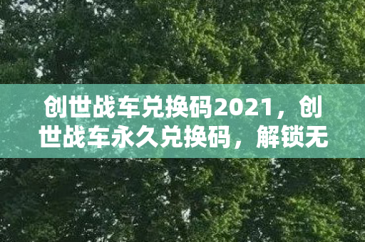 创世战车兑换码2021，创世战车永久兑换码，解锁无限可能的钥匙