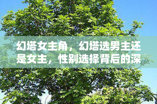 幻塔女主角，幻塔选男主还是女主，性别选择背后的深层意义