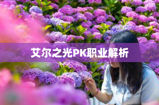 艾尔之光PK职业解析 艾尔之光PK职业解析