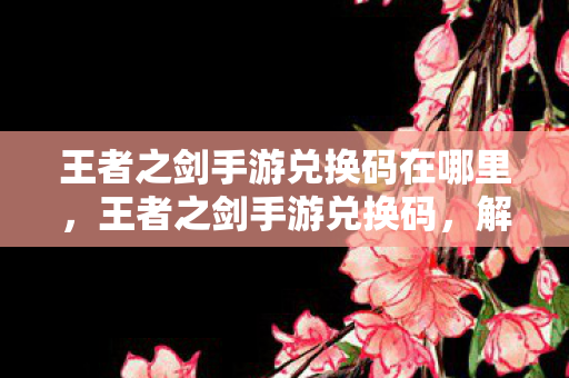 王者之剑手游兑换码在哪里，王者之剑手游兑换码，解锁专属福利，畅享游戏乐趣