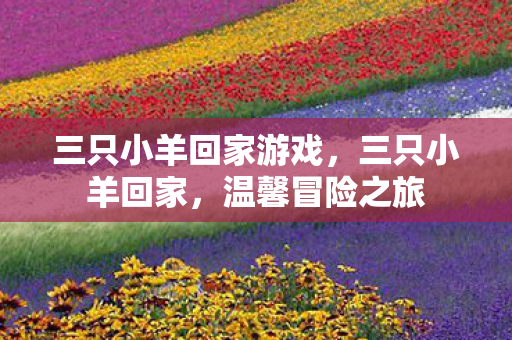 三只小羊回家游戏，三只小羊回家，温馨冒险之旅