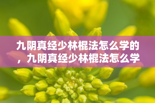 九阴真经少林棍法怎么学的,九阴真经少林棍法怎么学 九阴真经少林棍法怎么学的,九阴真经少林棍法怎么学