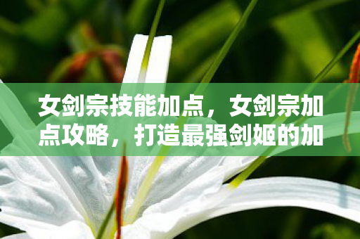 女剑宗技能加点，女剑宗加点攻略，打造最强剑姬的加点指南