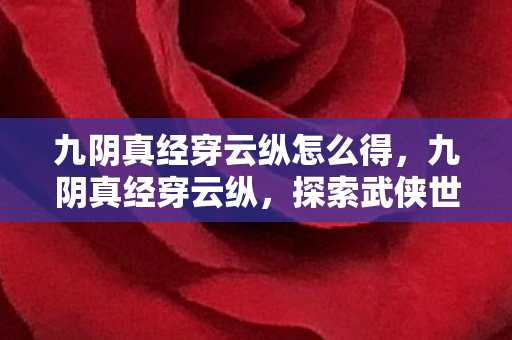 九阴真经穿云纵怎么得，九阴真经穿云纵，探索武侠世界的轻功奥秘