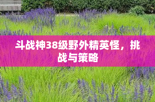 斗战神38级野外精英怪，挑战与策略