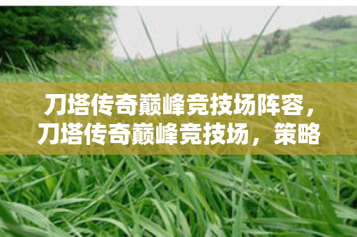 刀塔传奇巅峰竞技场阵容，刀塔传奇巅峰竞技场，策略与技巧的完美融合