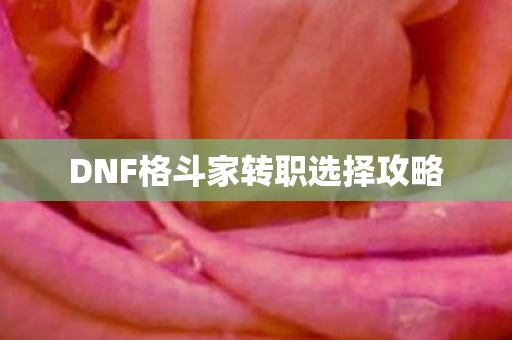 DNF格斗家转职选择攻略