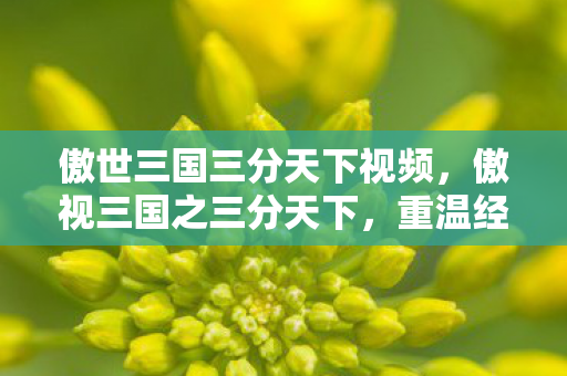 傲世三国三分天下视频，傲视三国之三分天下，重温经典，再燃战火
