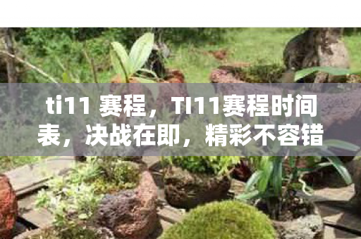 ti11 赛程，TI11赛程时间表，决战在即，精彩不容错过