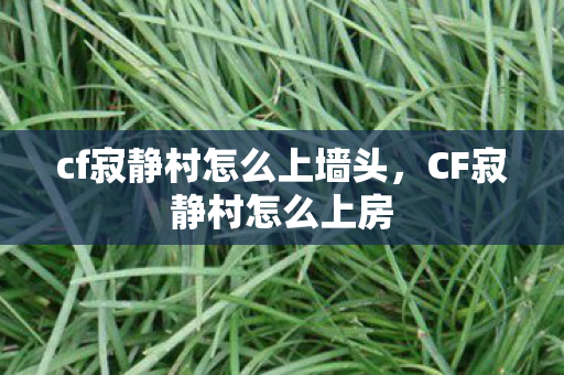 cf寂静村怎么上墙头，CF寂静村怎么上房
