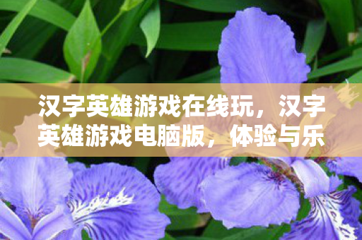 汉字英雄游戏在线玩，汉字英雄游戏电脑版，体验与乐趣的完美结合