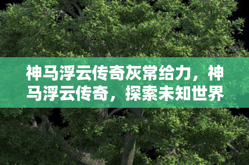 神马浮云传奇灰常给力，神马浮云传奇，探索未知世界的奇幻之旅
