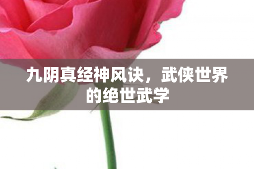 九阴真经神风诀，武侠世界的绝世武学
