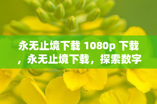 永无止境下载 1080p 下载，永无止境下载，探索数字时代的无限可能