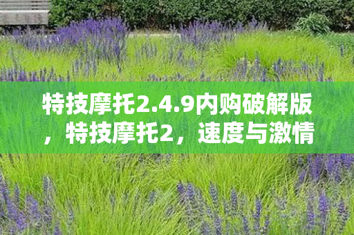 特技摩托2.4.9内购破解版，特技摩托2，速度与激情的极限挑战