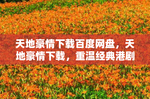 天地豪情下载百度网盘，天地豪情下载，重温经典港剧的便捷途径