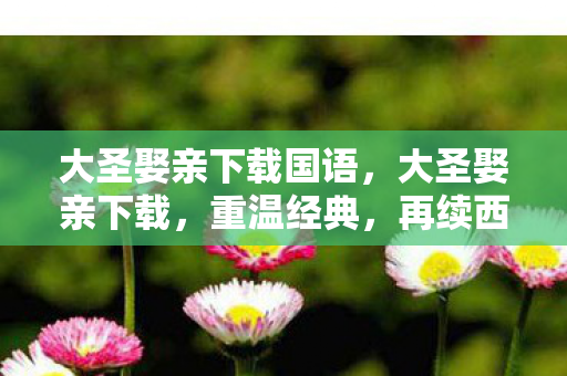 大圣娶亲下载国语，大圣娶亲下载，重温经典，再续西游情缘