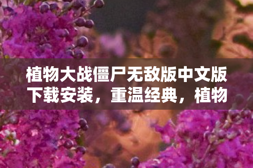植物大战僵尸无敌版中文版下载安装，重温经典，植物大战僵尸无敌版中文版下载指南