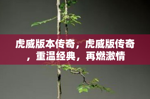 虎威版本传奇，虎威版传奇，重温经典，再燃激情