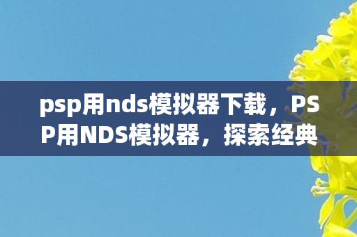 psp用nds模拟器下载，PSP用NDS模拟器，探索经典游戏的数字重生