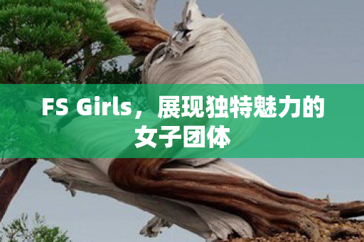 FS Girls，展现独特魅力的女子团体