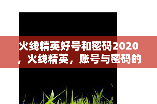 火线精英好号和密码2020，火线精英，账号与密码的珍贵价值