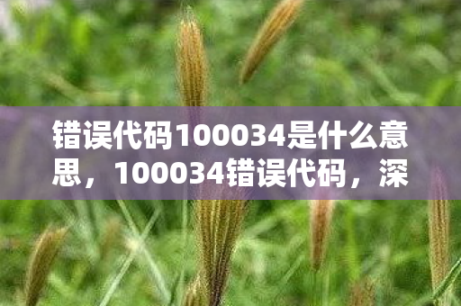 错误代码100034是什么意思,100034错误代码,深度解析与应对指南 错误代码100034是什么意思,100034错误代码,深度解析与应对指南