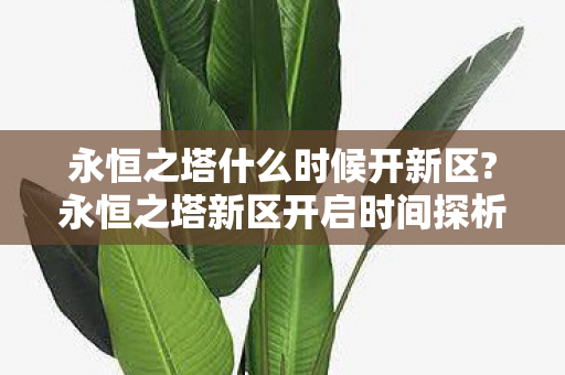 永恒之塔什么时候开新区?永恒之塔新区开启时间探析 永恒之塔什么时候开新区?永恒之塔新区开启时间探析