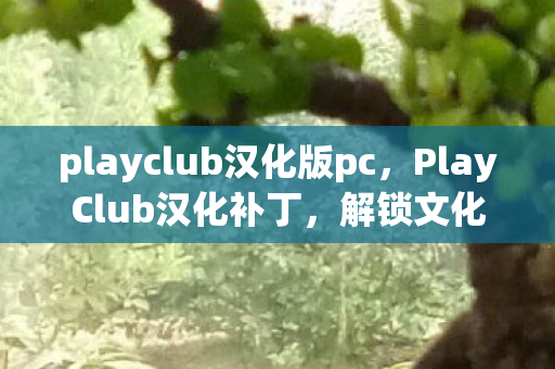 playclub汉化版pc,PlayClub汉化补丁,解锁文化障碍,畅享国际风情 playclub汉化版pc,PlayClub汉化补丁,解锁文化障碍,畅享国际风情