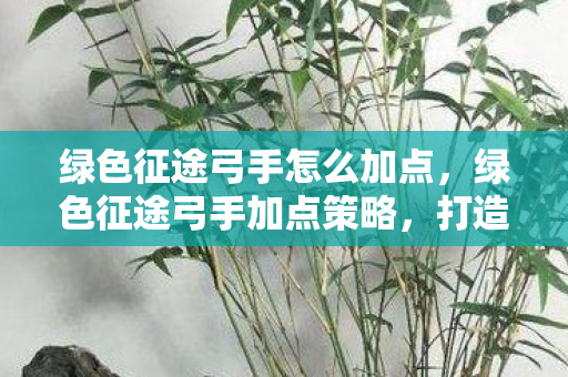 绿色征途弓手怎么加点,绿色征途弓手加点策略,打造高效战斗力的关键 绿色征途弓手怎么加点,绿色征途弓手加点策略,打造高效战斗力的关键