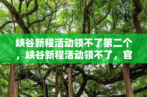 峡谷新程活动领不了第二个，峡谷新程活动领不了，官方授权与合规性的重要性