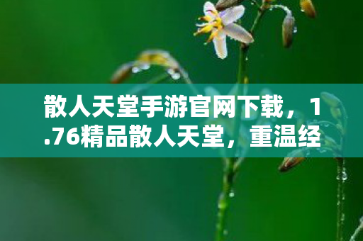 散人天堂手游官网下载，1.76精品散人天堂，重温经典，畅享传奇