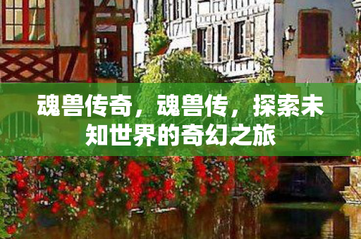 魂兽传奇,魂兽传,探索未知世界的奇幻之旅 魂兽传奇,魂兽传,探索未知世界的奇幻之旅