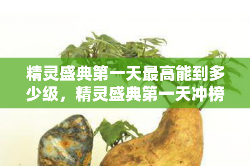 精灵盛典第一天最高能到多少级，精灵盛典第一天冲榜，策略与技巧