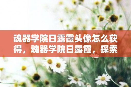 魂器学院日露霞头像怎么获得，魂器学院日露霞，探索学院背后的神秘故事