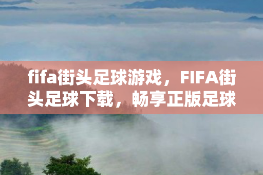 fifa街头足球游戏，FIFA街头足球下载，畅享正版足球游戏的魅力
