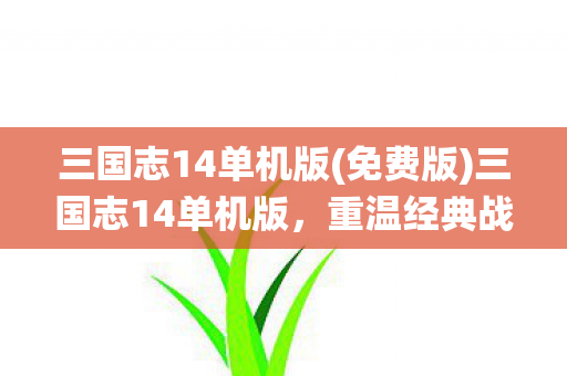 三国志14单机版(免费版)三国志14单机版,重温经典战役,领略历史风云 三国志14单机版(免费版)三国志14单机版,重温经典战役,领略历史风云