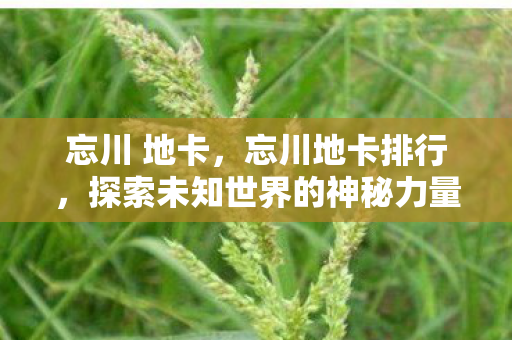 忘川 地卡，忘川地卡排行，探索未知世界的神秘力量