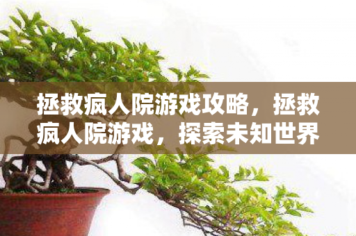 拯救疯人院游戏攻略，拯救疯人院游戏，探索未知世界的奇妙冒险