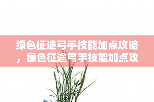 绿色征途弓手技能加点攻略，绿色征途弓手技能加点攻略