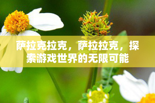 萨拉克拉克,萨拉拉克,探索游戏世界的无限可能 萨拉克拉克,萨拉拉克,探索游戏世界的无限可能