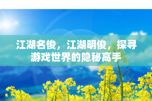 江湖名俊,江湖明俊,探寻游戏世界的隐秘高手 江湖名俊,江湖明俊,探寻游戏世界的隐秘高手