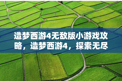 造梦西游4无敌版小游戏攻略,造梦西游4,探索无尽冒险的无敌之旅 造梦西游4无敌版小游戏攻略,造梦西游4,探索无尽冒险的无敌之旅