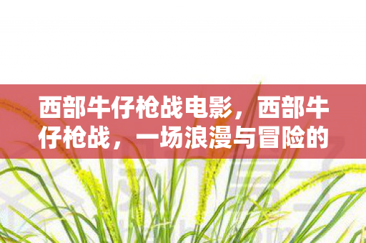 西部牛仔枪战电影，西部牛仔枪战，一场浪漫与冒险的交响曲