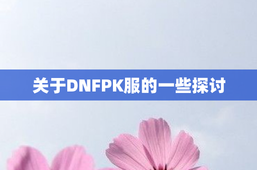 关于DNFPK服的一些探讨