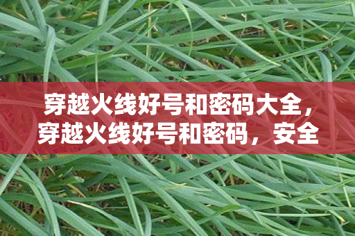 穿越火线好号和密码大全，穿越火线好号和密码，安全使用，避免账号风险