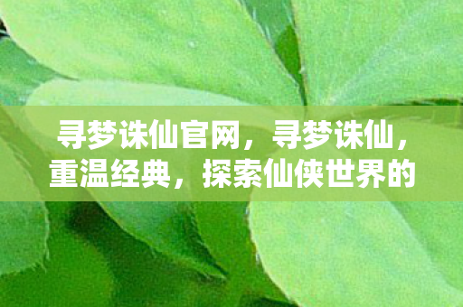 寻梦诛仙官网，寻梦诛仙，重温经典，探索仙侠世界的无尽奥秘