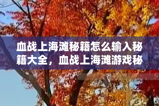 血战上海滩秘籍怎么输入秘籍大全，血战上海滩游戏秘籍，经典战役中的生存与胜利之道