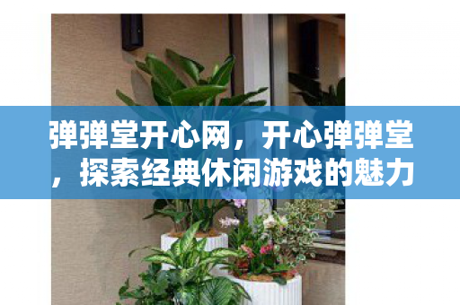 弹弹堂开心网，开心弹弹堂，探索经典休闲游戏的魅力